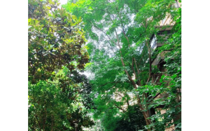 互學(xué)互鑒，共促提升